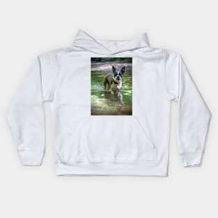 Meryl the Boston Terrie Kids Hoodie